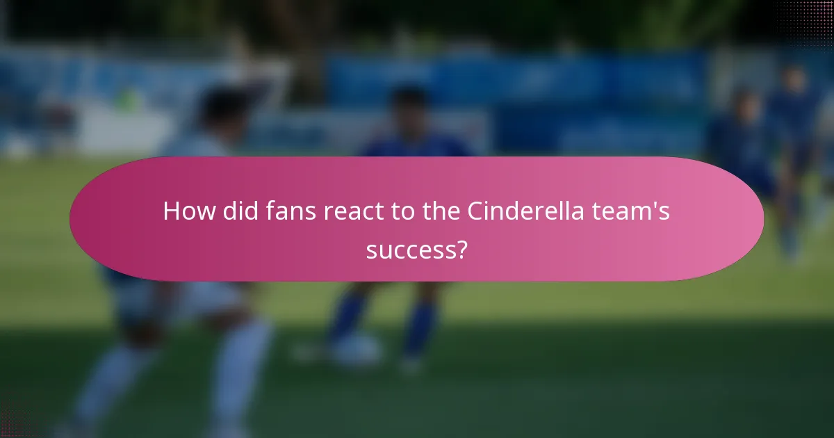 How did fans react to the Cinderella team's success?