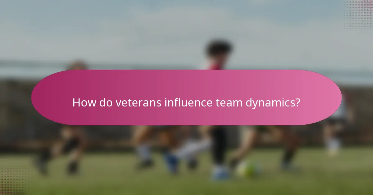 How do veterans influence team dynamics?